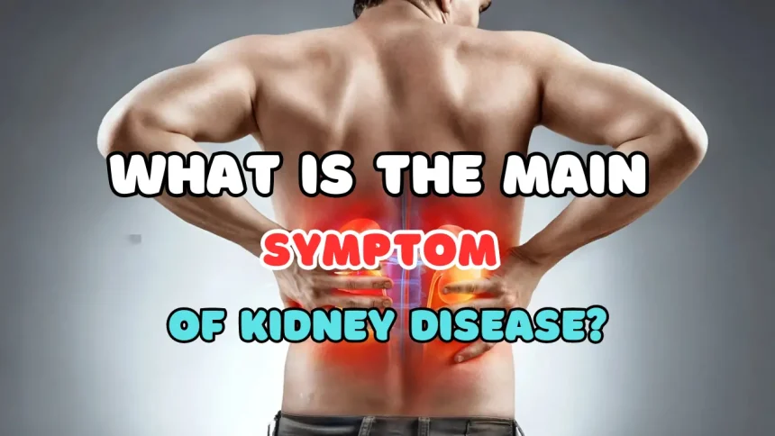 What are the Diseases and Symptoms of Kidney