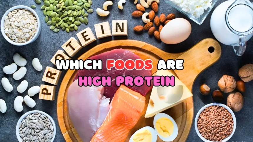 Which Foods are High Protein